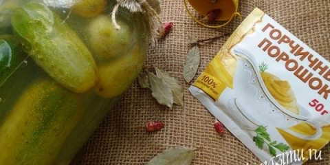 Najukusniji recept za marinirane krastavce za zimu sa senfom