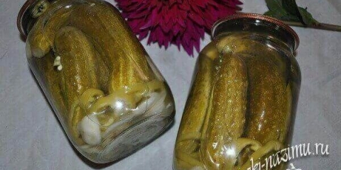 Najukusniji recept za krastavce na bugarskom za zimu