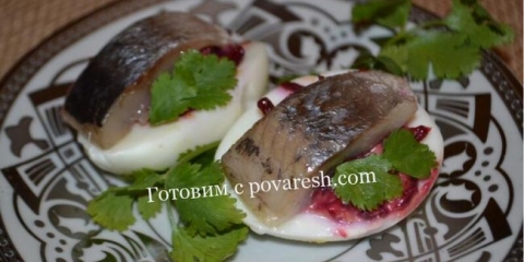 Haringa ispod krznenog kaputa u jajima (ukusna recepta punjena jaja)