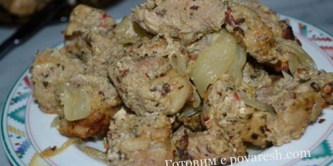 Svinjski kebab u pećnici u rukavu za pečenje na jastuku luka