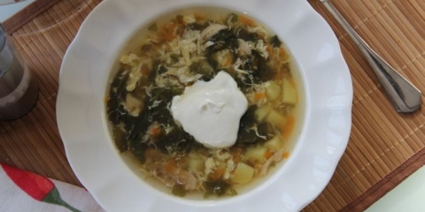 Sounly supa sa piletinom - korak po korak recept