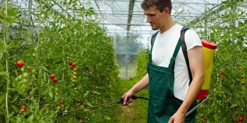 Prevara za dahniku: extra-core podccalink paradajz