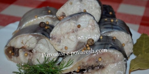 Skuša, slana u slaninama - recept za 1 litru vode