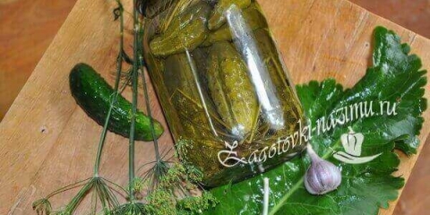 Slatki i hrskavi marinirani krastavci za zimu bez sterilizacije