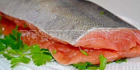 Salt pink losos na suknji