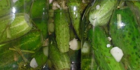 Stjerani krastavci za zimu