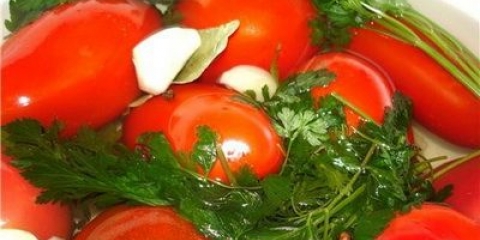 Slana rajčica sa senfom