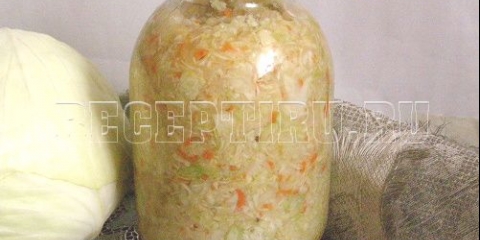 Solim kupus u 2016. Godini