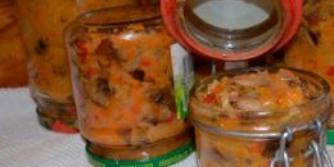 Solyanka sa kupusom i gljivama za zimu - jednostavne i ukusne recepte