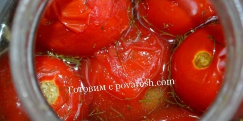 Slana rajčica sa senfom u banci od 3 litre