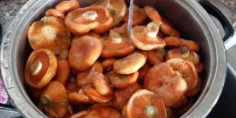 Saljeni valovi: najbolji recepti koje lemljuju gljive na različite načine