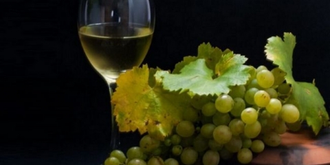 Grožđe za proizvodnju bijelog vina, proizvodne tehnologije