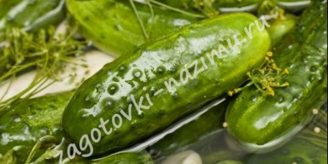 Metode krastavaca zimi