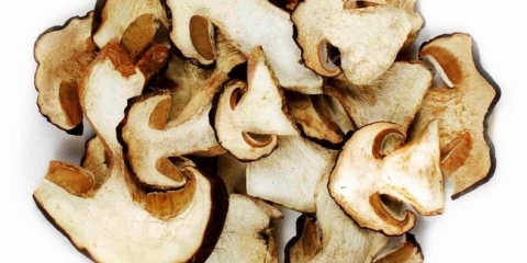 Osušene bijele gljive (9 recepti)