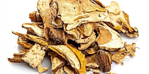 Osušene gljive - savjeti i preporuke