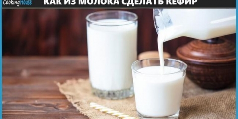 Kefir svojstva i karakteristike kuhanja kod kuće