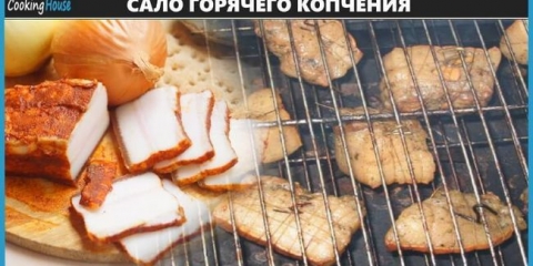 Tehnologija za vrući pušenje sala kod kuće