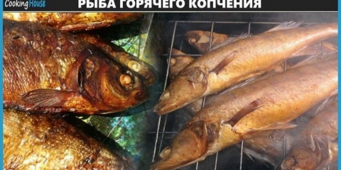 Tehnologija i recepti kuća kuhanje vruće dimljene ribe