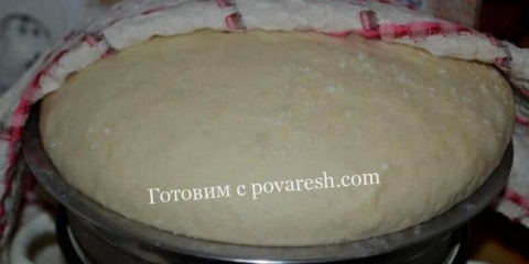 Tijesto za pite na mlijeku sa živim kvascem