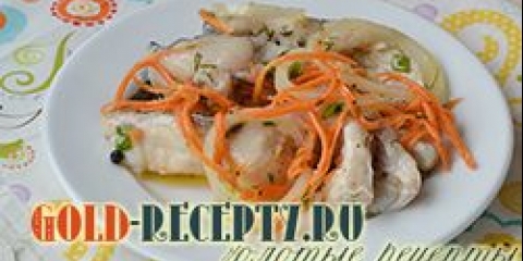 Pickup kiselo ukusan recept sa fotografijama