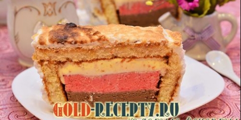 Torta sladoled. Torta sa tri vrste sladoleda. Recepte web lokacije zlatni recepti