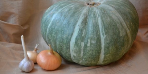 Medic bundeve - raznolikost. Trebam li kupiti?