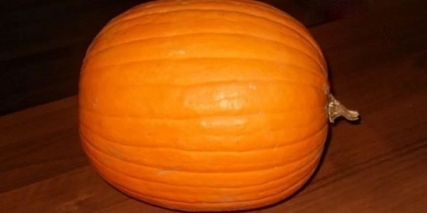 Pumpkin vitamin: opis raznolikosti prinosa i povratnih informacija o biljnoj kulturi