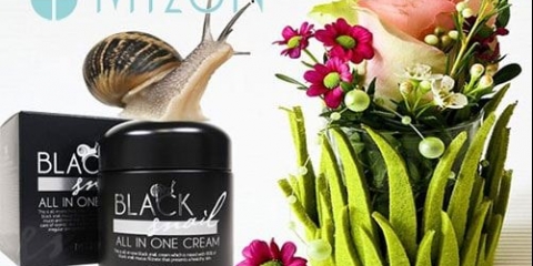 Ulief korean krem ​​mizone (vrste i svojstva)