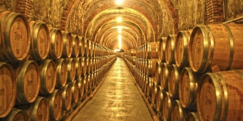 Vinski podrum uređaj u privatnoj kući, nezavisna gradnja