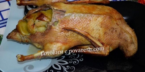 Patka sa jabukama i brusnicama - korak po korak recept u pećnici