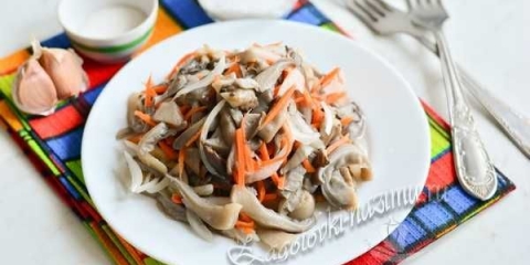 Korejske ostrige kod kuće