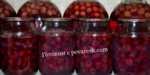 Trešnja u vlastitom soku za zimu bez kostiju u litarskim bankama