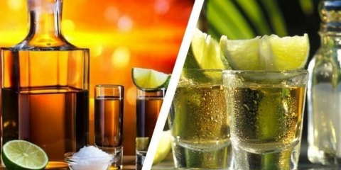 Okus realnog tekile, recepte imitacije, koktela za kuhanje