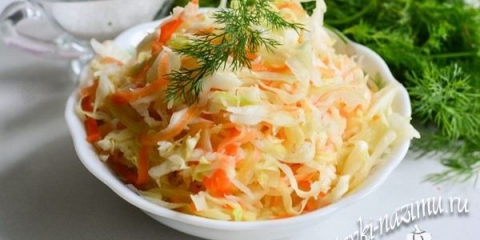 Ukusan recept za brze hrane