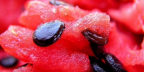 Još uvijek bacate sjemenke lubenice? Onda idemo k tebi!