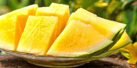 Uzgajamo žutu lubenicu: sunčano čudo na bakhcheu