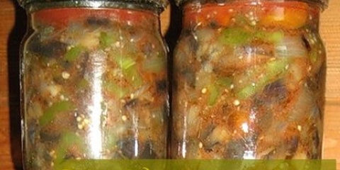 Predjelo iz patlidžana sa bugarskim biberom za zimu