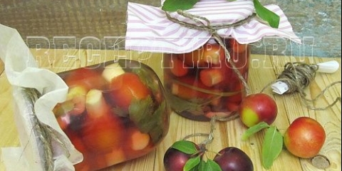 Kiseli užina sa tikvicama