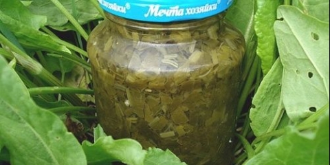 Dopunite juhu sa supom sa mamcem