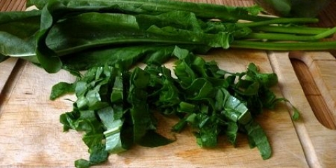 Punjenje zelenom zimom