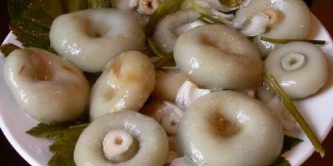 Lemljenje grusso hot fashion