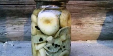 Slingnost slabih za zimu u bankama sa sirćetom