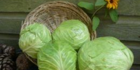 Kupus za lemljenje za zimu - jednostavni recepti, odličan rezultat