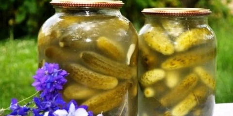 Lemljenje krastavci bez sirćeta i sterilizacije