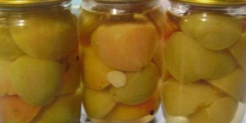 Zelena paradajza za zimu