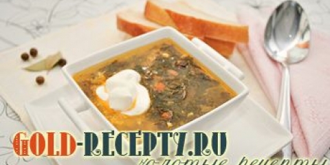 Zeleni borsch sa konzerviranim sorrelom