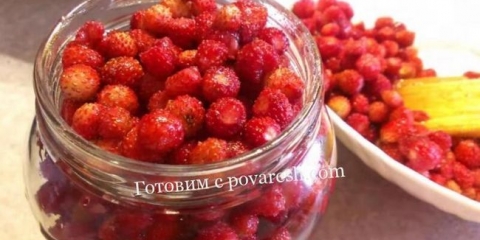 Jagoda obrišite šećerom za zimu bez kuhanja