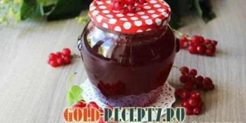 Crvena ribizla žele za zimu